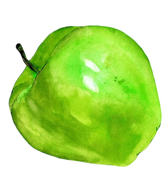 Aquarelle pomme verte gros plan entier isolé sur fond blanc