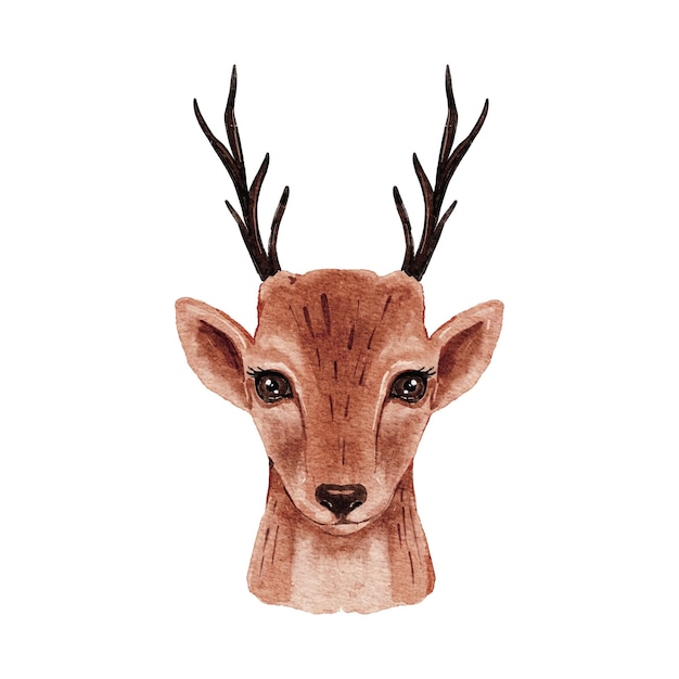 Vecteur aquarelle de renne isolée sur fond blanc illustration de portrait de cerf mignon de noël vecteur de dessin animé de conception animale d'hiver