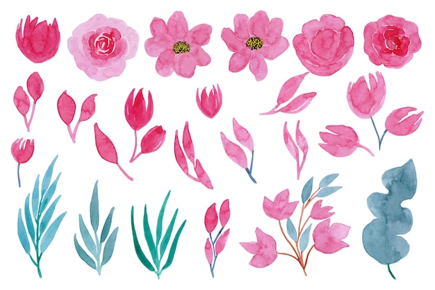 Aquarelle rose arrangements floraux et de feuilles collection de jeux
