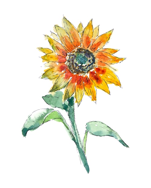 Aquarelle Tournesol