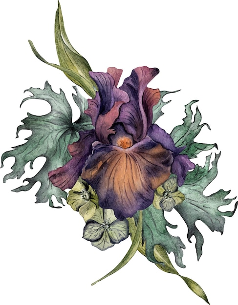 Vecteur aquarelle violette fleur d'iris et feuilles isolées sur blanc floral gothique illustration dessinée à la main décoration de mariage botanique sombre dans le style vintage élément pour l'impression de cartes de fond d'invitation