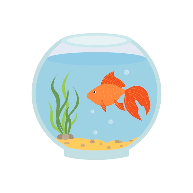 Aquarium rond avec poisson rouge Illustration vectorielle isolée sur fond blanc