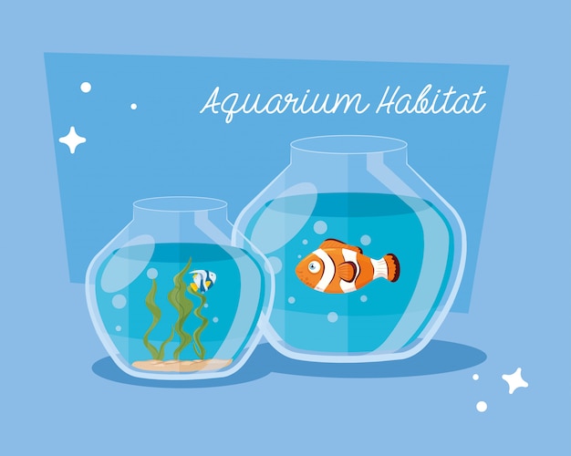 Vecteur aquariums poissons avec de l'eau, aquariums animaux marins