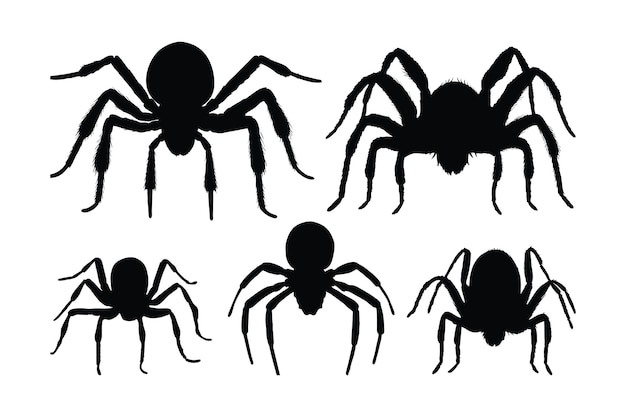 Araignée Marchant Silhouette Bundle Design Conception De Vecteur D'araignée Sauvage Sur Fond Blanc Insectes Dangereux Marchant Silhouette Set Vector Petits Insectes Dans Différentes Positions Silhouette Collection