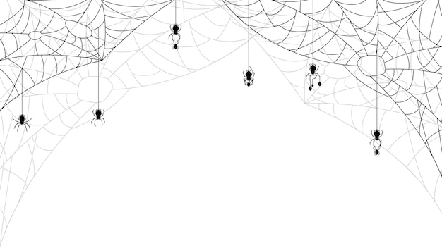 Araignées sur le Web avec fond blanc. Élément de conception de fond d'Halloween. Horreur effrayante et effrayante