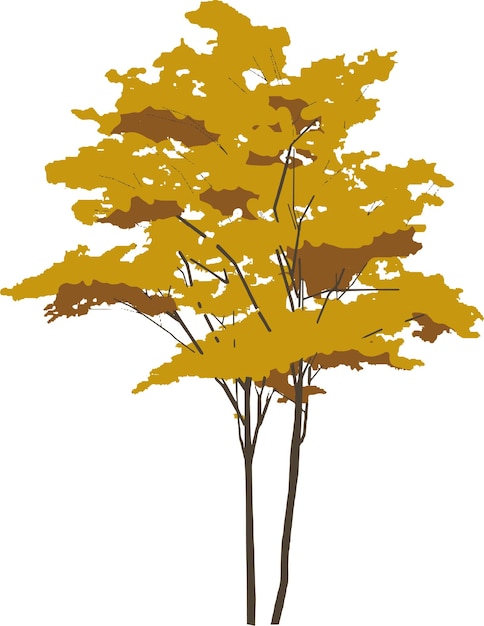 Vecteur arbre d'automne aux feuilles jaunes