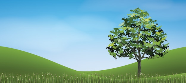 Arbre avec colline d'herbe verte.