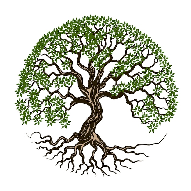 Arbre de conception de logo de racine de chêne avec forme de cercle pour entreprise avec icône d'arbre