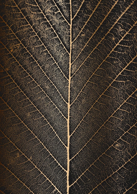 Vecteur arbre de détresse laisse texture dépliant sur fond doré fond grunge noir et blanc