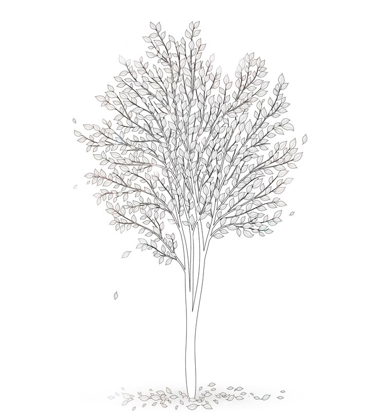 Vecteur arbre avec des feuilles sur un vecteur de fond blanc