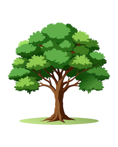 un arbre avec un fond blanc et un dessin d'un arbre avec les mots arbre dessus