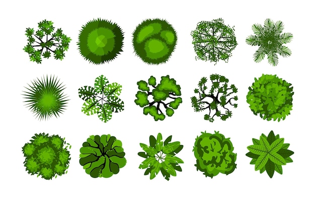 Vecteur arbre d'en haut vue de dessus des buissons pour la planification architecturale et paysagère éléments de carte aérienne parc et forêt plantes vertes objets écologiques modernes collection vecteur ensemble isolé