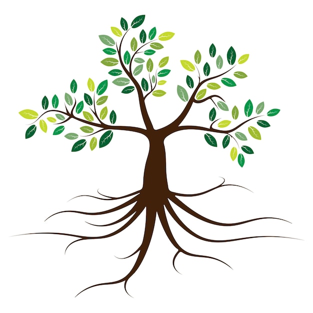 Arbre D'illustration Vectorielle Avec Racines Arbre Vert Forêt Fond Nature Concept