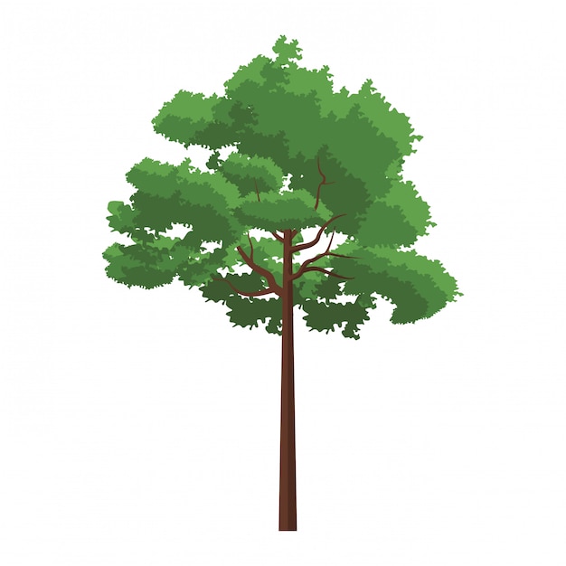Arbre nature paysage