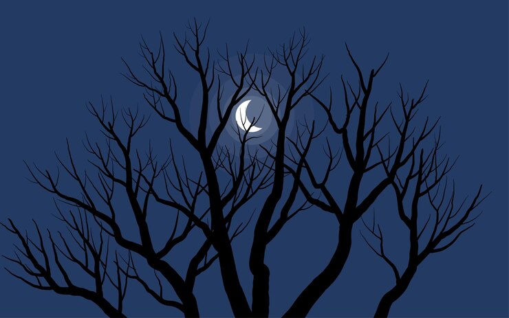 Vecteur arbre nu et paysage de nuit au clair de lune