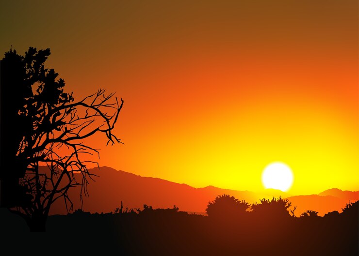 Vecteur arbre silhouetté à un coucher de soleil orange