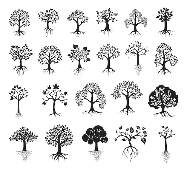 Vecteur arbre avec des silhouettes de racines vecteurs premium