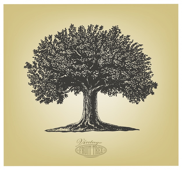 Vecteur arbre en style de gravure