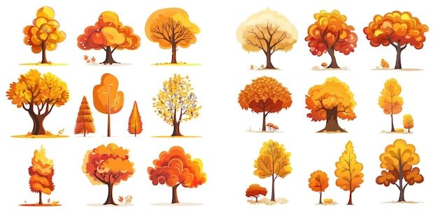 Vecteur des arbres d'automne colorés