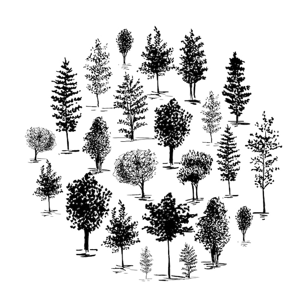 Arbres de croquis, ensemble d'arbres de silhouette dessinés à la main, illustration vectorielle isolée sur fond blanc.