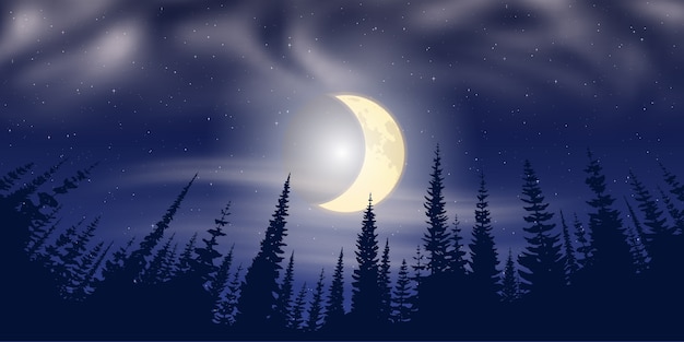 Vecteur arbres dans le contexte du ciel nocturne avec la lune