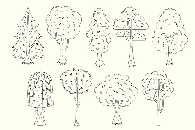 Arbres dessinés à la main dessin illustration