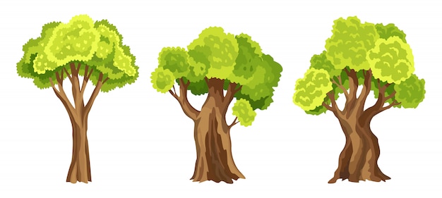 Arbres à feuilles vertes. Ensemble d'arbres stylisés abstraits. Feuillage aquarelle. Illustration naturelle