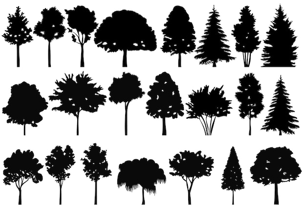 Arbres Mis En Silhouette Noire Sur Fond Blanc Vecteur Isolé