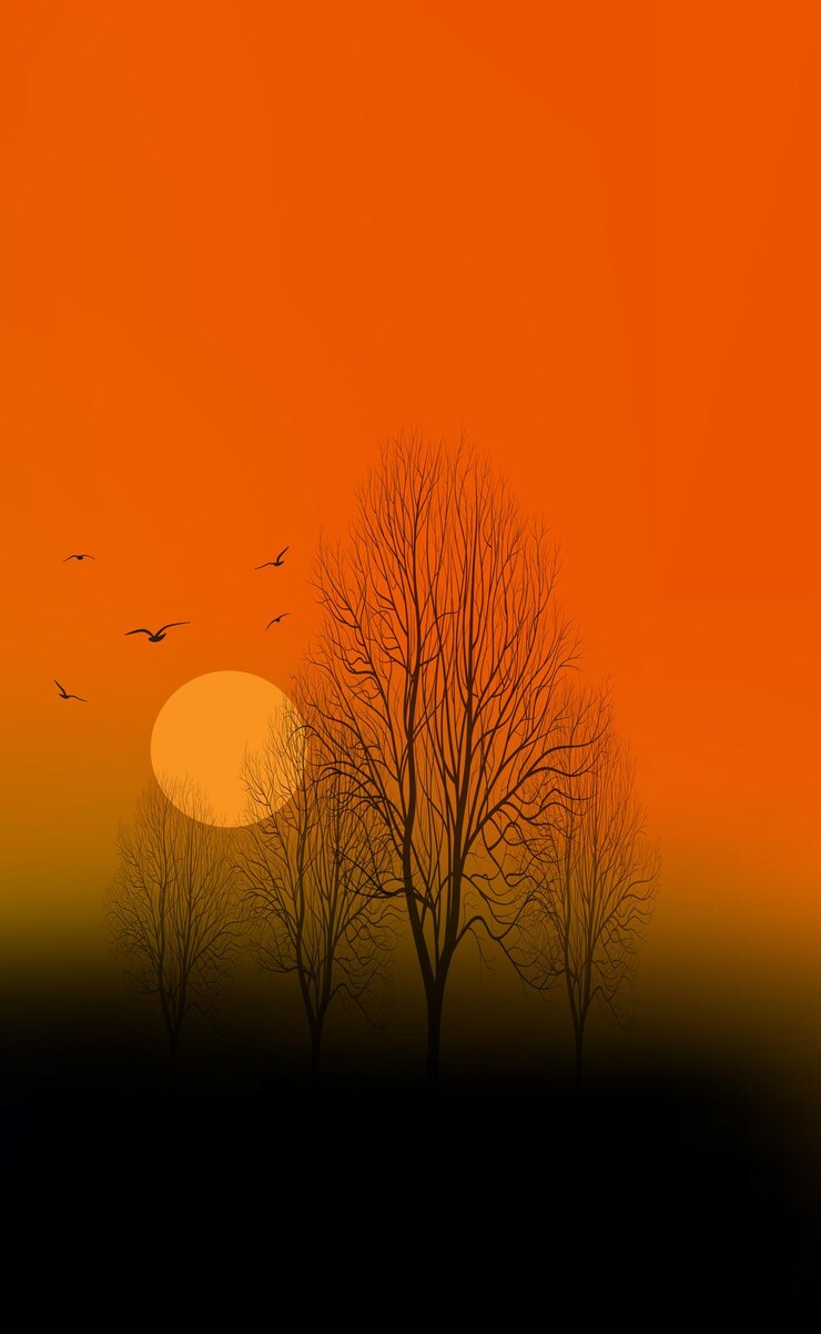 Vecteur des arbres et des oiseaux dans la forêt au coucher du soleil illustration vectorielle dessin