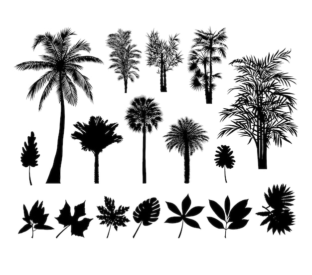 Vecteur arbres palmiers plantes silhouettes pour signe symbole ou icône