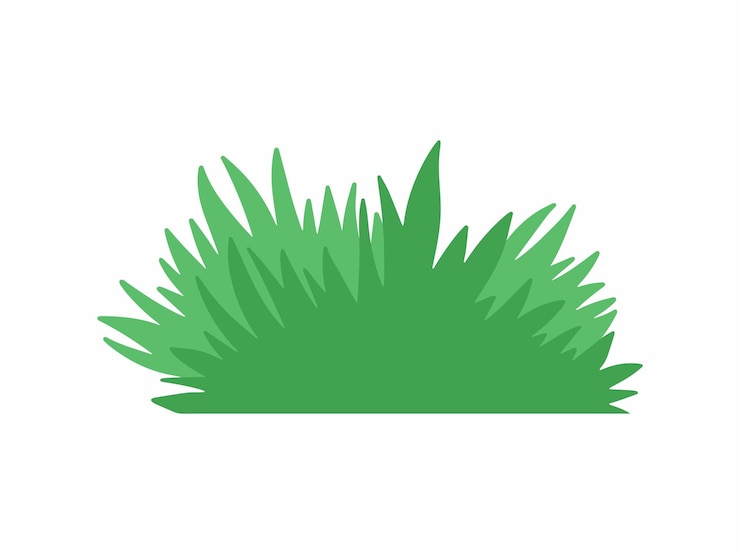 Vecteur arbuste, buisson, illustration