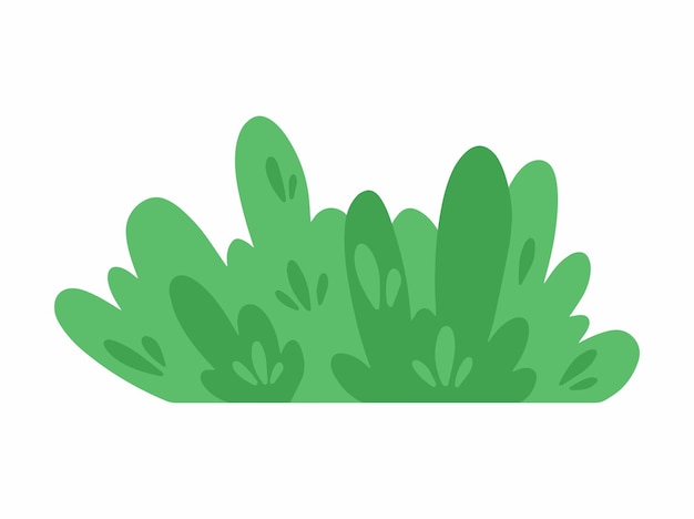 Vecteur arbuste, buisson, illustration