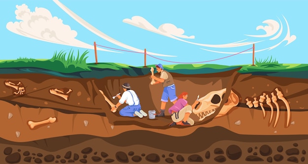 L'archéologue creuse des fossiles Les travaux archéologiques Les scientifiques de l'archéologie creusent des fossiles dans le sol La paléontologie Les fouilles étudient l'histoire Les artefacts découvrent une illustration vectorielle récente