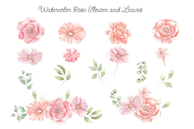 Arrangement et clipart de fleur aquarelle rose orange et rose