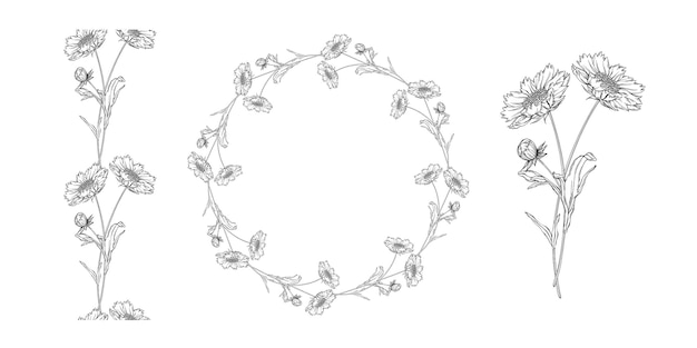 Arrangement De Fleurs De Contour Vector Noir Et Blanc Avec Des Fleurs De Camomille