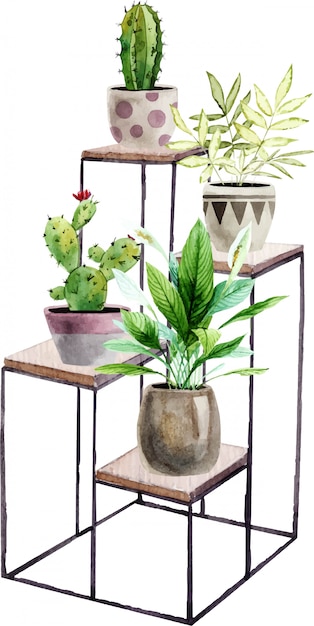 Vecteur arrangement avec des plantes d'intérieur aquarelles peintes à la main