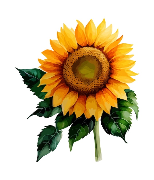 Arrangements floraux à l'aquarelle avec de beaux tournesols Bouquet floral de tournesols à l'aquarelle