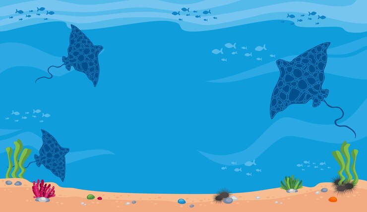 Vecteur arrière-plan avec baleines algues poissons coraux oursins de mer et étoiles de mer raies manta raies