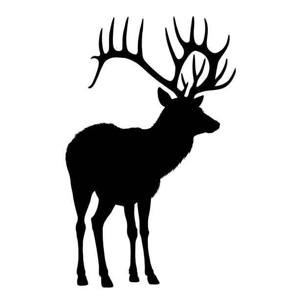 Arrière-plan Blanc Silhouette De Cerf à Cornes