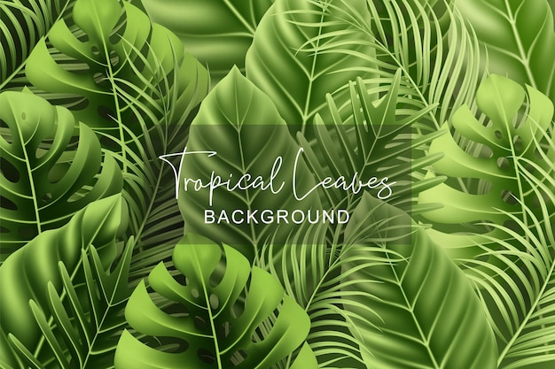 Arrière-plan d'été avec des feuilles tropicales réalistes
