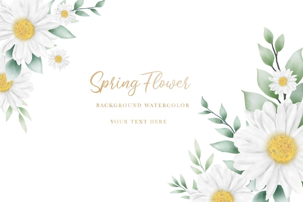 Arrière-plan de fleurs de marguerite à l'aquarelle dessiné à la main
