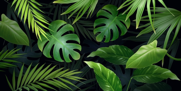 Arrière-plan de la jungle réaliste avec des feuilles tropicales sur sombre