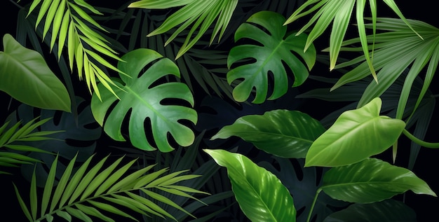 Vecteur arrière-plan de la jungle réaliste avec des feuilles tropicales sur sombre