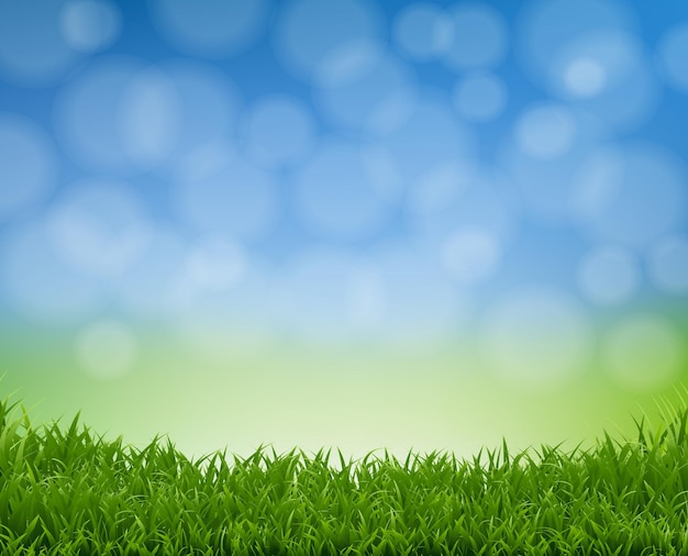 Arrière-plan de la nature avec le Bokeh de printemps