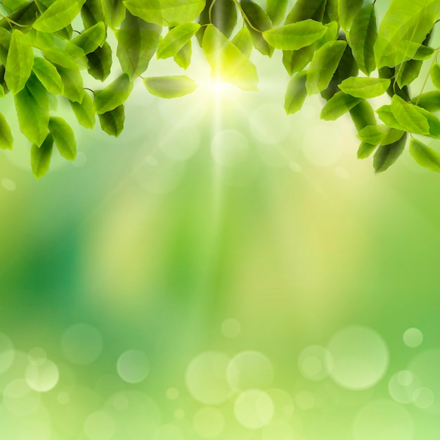 arrière-plan naturellement flou