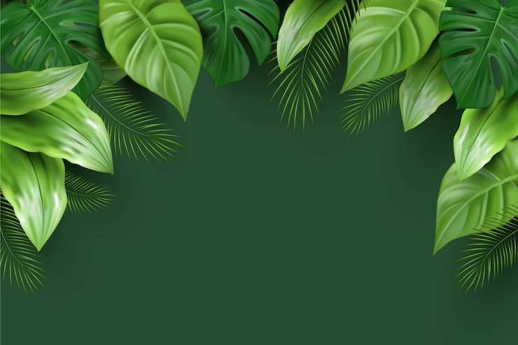 Vecteur arrière-plan réaliste de feuilles tropicales