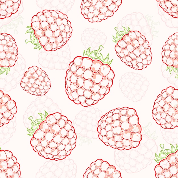 Arrière-plan transparent framboise avec baies mûres rouges sur fond blanc illustration