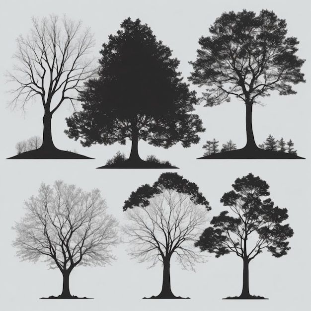 Arrière-plan vectoriel des silhouettes d'arbres