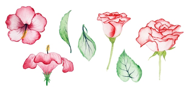 Art Floral Aquarelle Fait à La Main