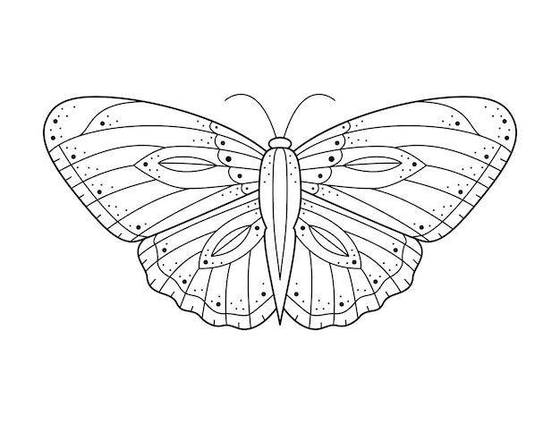 Art De La Ligne Sacrée Papillon Géométrique Résumé Géométrie Mystique Papillon Illustration Vectorielle